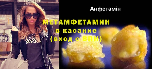 индика Новокубанск