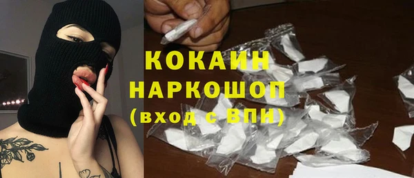 индика Новокубанск