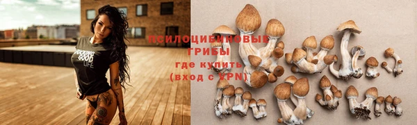 a pvp Новодвинск