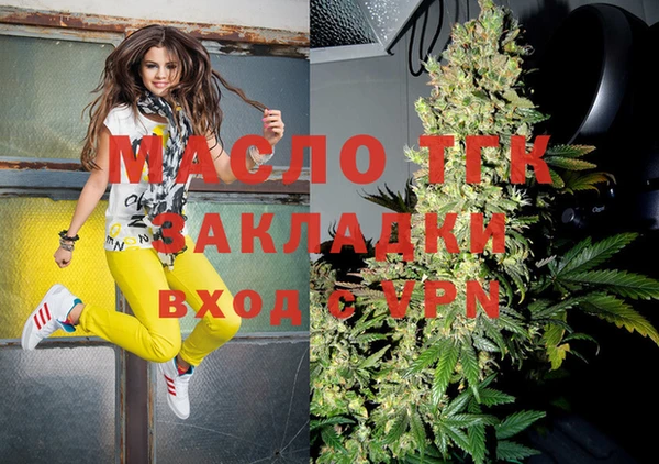 индика Новокубанск