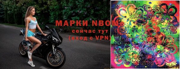 индика Новокубанск