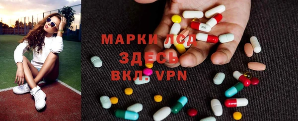 индика Новокубанск