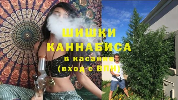 a pvp Новодвинск