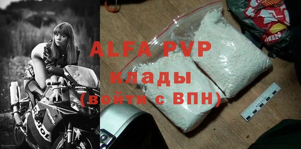 индика Новокубанск