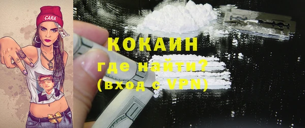 индика Новокубанск