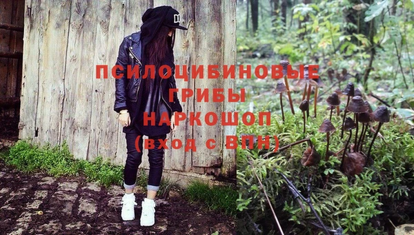 индика Новокубанск