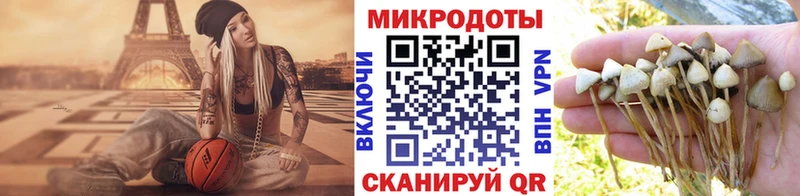 Псилоцибиновые грибы Psilocybine cubensis  Краснотурьинск 