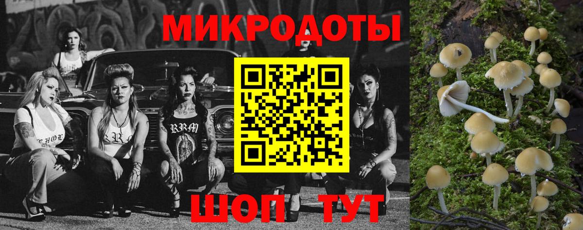 Краснотурьинск  Псилоцибиновые грибы Psilocybine cubensis  Вход с VPN 
